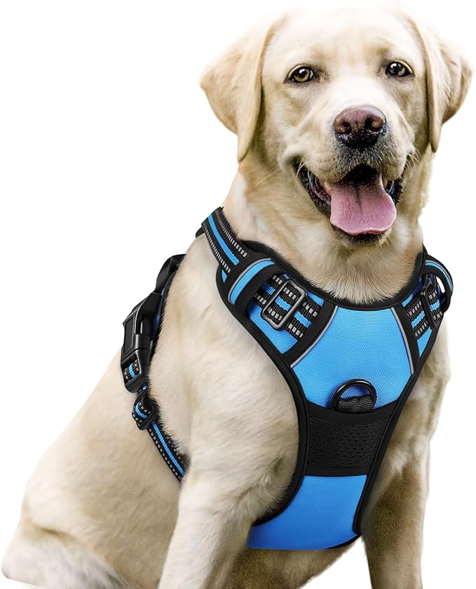 rabbitgoo Dog Harness, No Pull for Large Dogs with 2 Leash Clips, Pet Vest | No Choke with Handle, Adjustable Soft Padded, Reflective, Easy Control for Walking, Blue, Large by rabbitgoo