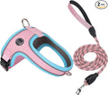 Dog Harness and Leash Set, No Pull Saddle Style Pet Harness, Breathable Mesh Adjustable Reflective Dog Vest for Medium Small Dogs Harness 2 D-Rings, Pink, L by Mengbeitribe