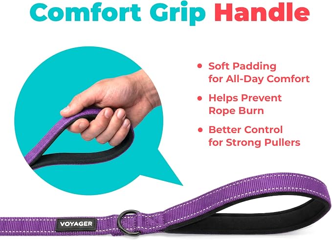 Best Pet Supplies Voyager Nylon Dog Leash - Purple, Medium | 5ft in Length, 3/4" in Width, Reflective, Soft Neoprene Handle, Heavy Duty Metal Clips for Running, Walking & Training - Image 5