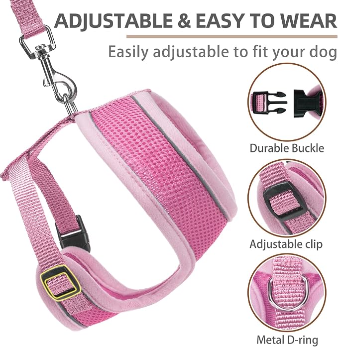 PUPTECK Small Dog Harness and Leash Set No Pull for XS XXS Sized Dogs Puppy | Escape Proof No Choke Pet Cat Adjustable Soft Padded Walking Vest - Image 3