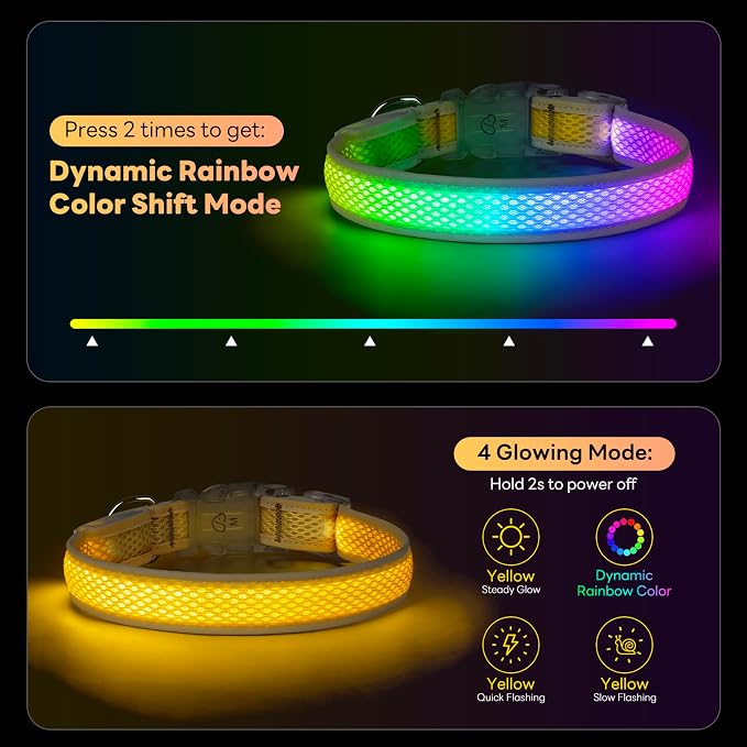 Multicolor LED Dog Collar USB-C Rechargeable, Light Up Dog Collar, Rainbow Gradient Glowing Dog Collar with 4 Light Modes, Adjustable Candy Mesh Pet Collar(Yellow, Small) - Image 2