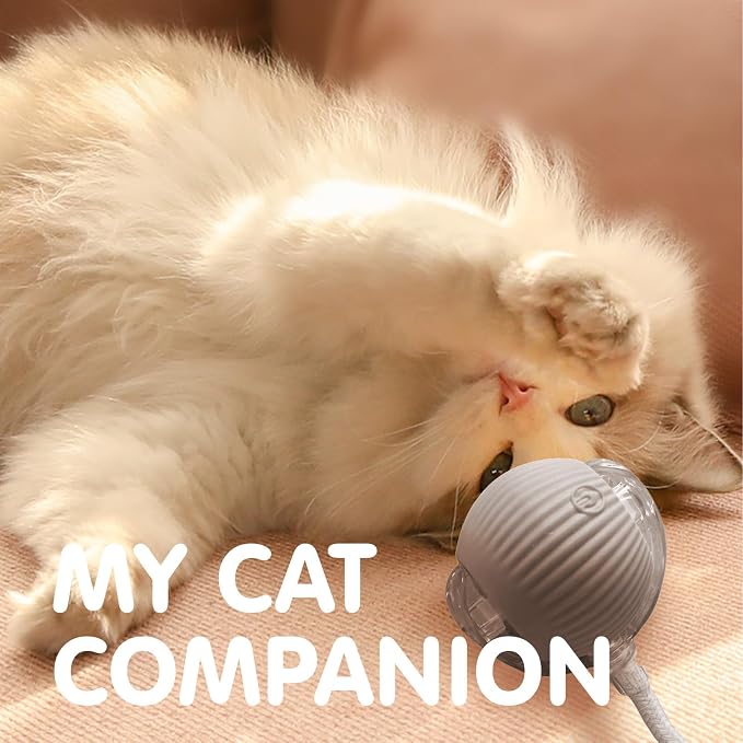 Rocfish Durable Interactive Cat Toys for Indoor Cats (Grey, 01) | Smart Automatic Cat Chase Ball Toy, Upgraded Speedy Tail Kitten Toy for Bored Indoor Adult Pets - Image 8