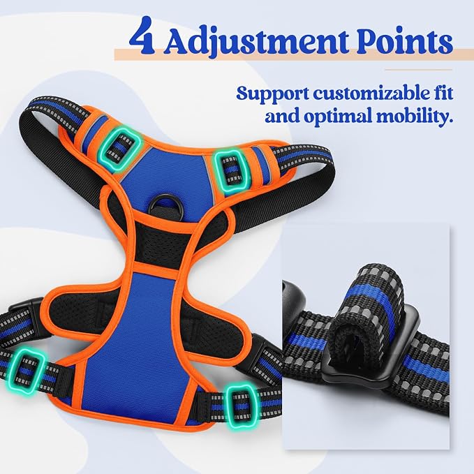 rabbitgoo Dog Harness, No Pull for Small Dogs with 2 Leash Clips, Pet Vest | No Choke with Handle, Adjustable Soft Padded, Reflective, Easy Control for Walking, Blue & Orange, Small - Image 4