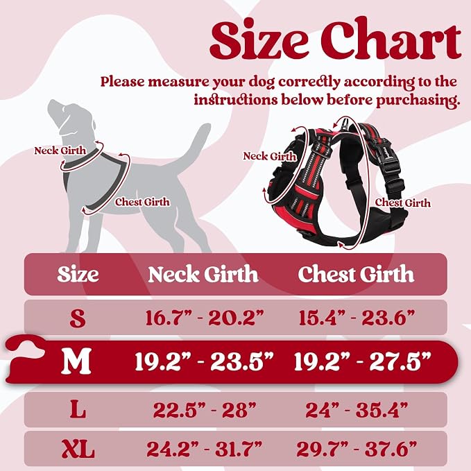 rabbitgoo Dog Harness Medium Sized, Updated Easy On & Off with 3 Buckles | No Pull No Choke, Walking with 2 Clips and Handle, Adjustable Soft Reflective, Red, Medium - Image 2