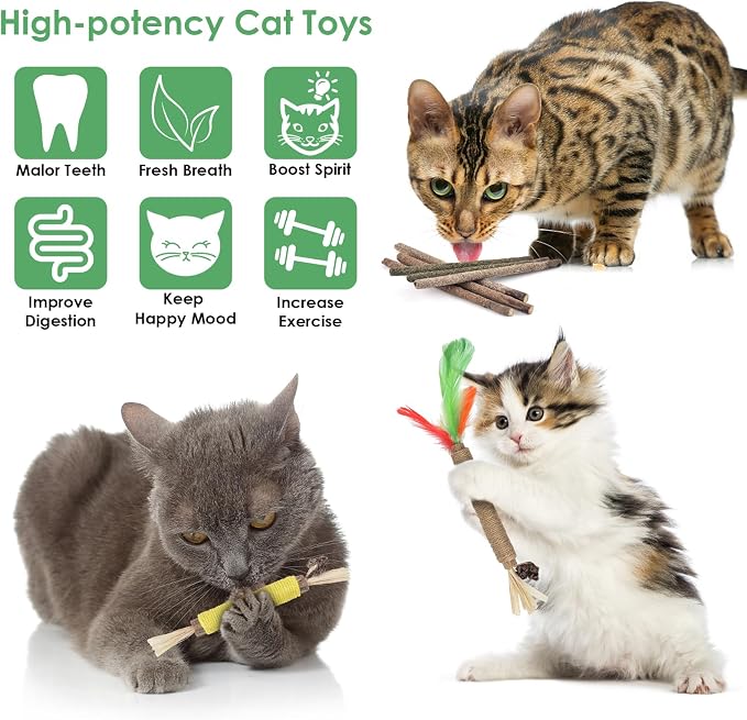 Bissap 16 PCS Silvervine Chew Sticks for Cats, Catnip Chew Sticks Cat Toys for Indoor Cat Kitten Teeth Grinding Interactive Feather Toys for Aggressive Chewers Dental Care - Image 2