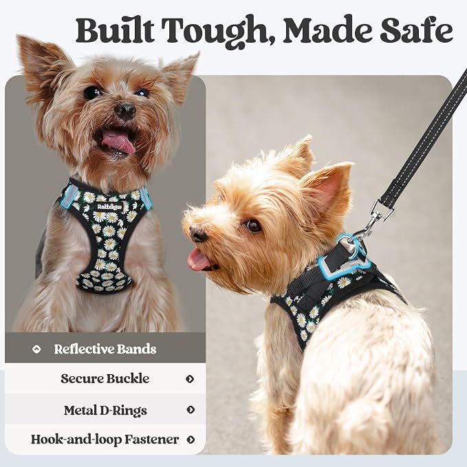 rabbitgoo Dog Harness Small Sized and Leash Set, Step-in Puppy Pet Vest | Light, Soft, Breathable Air Mesh, Easy on and Remove with Hook & Loop, Secure Reflective for Walking, Midnight Daisy S - Image 8