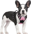 rabbitgoo Dog Harness, No Pull for Small Dogs with 2 Leash Clips, Pet Vest | No Choke with Handle, Adjustable Soft Padded, Reflective, Easy Control for Walking, Pink, Small by rabbitgoo