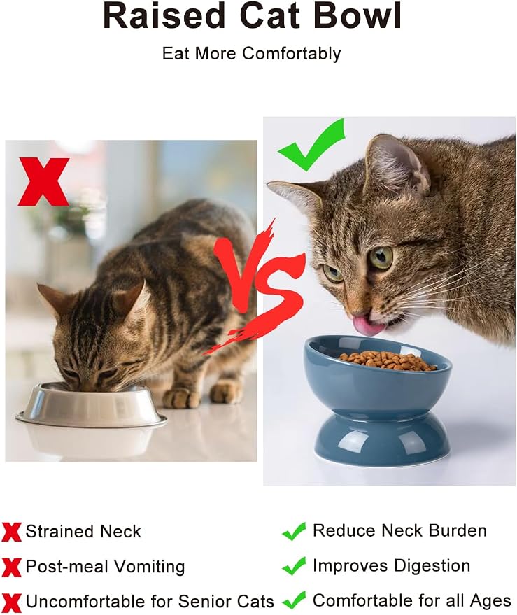 ABRUTY Cat Water Bowl, 16 OZ Ceramic Elevated Cat Bowls, 15° Tilted and Raised Pet Food Dish, Anti Vomiting Protect Pets' Spines and Whisker Fatigue, Blue - Image 6