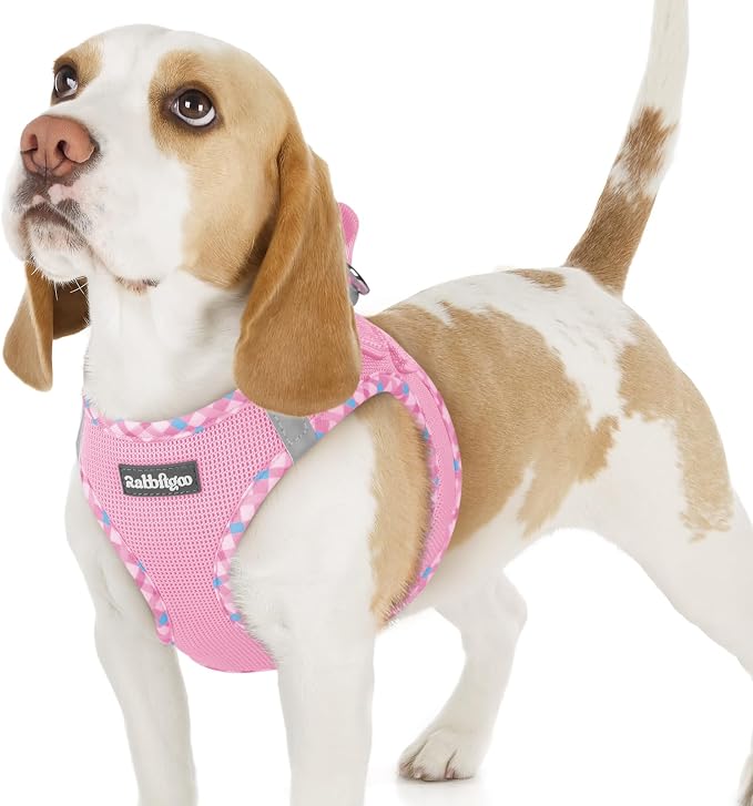 rabbitgoo Step-in Small Dog Harness, Puppy Vest for Small Sized Pet | Easy Put on and off, Lightweight, Soft, Breathable Quick-Dry Air Mesh for Comfortable Secure Walking, Pink & Plaid Trim M by rabbitgoo