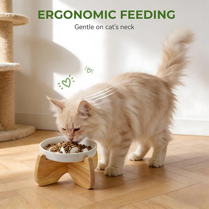 Raised Ceramic Cat Bowls 6.3" Flat & Slow Feeder Bowl (One of Each) | Anti-Gulping & Keep Fit, Water Bowl & Food Bowl, Dishwasher Safe, Neck Protective, Anti Whisker Fatigue - Image 4