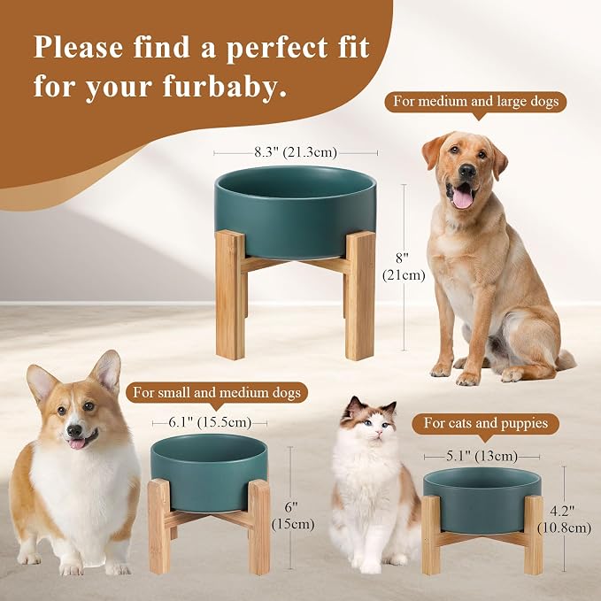 Elevated Ceramic Cat Bowl - Cat Food Bowl with Bamboo Stand - Raised Dog Dish for Puppies - Anti Vomiting, Stress Free - 13.5 oz / 400 ml - Grey - Image 9