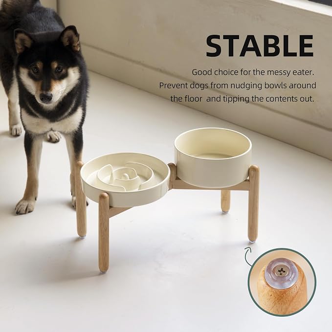 Havniva Elevated Slow Feeder Dog Bowls, Ceramic Dog Bowl Slow Feeder Set | 1.6 Cups Raised Slow Feeder Dog Bowl for Medium Breed, 7.3” Dog Water Bowl with Wooden Stand, Puzzle Dog Food Bowl, Non-slip - Image 7