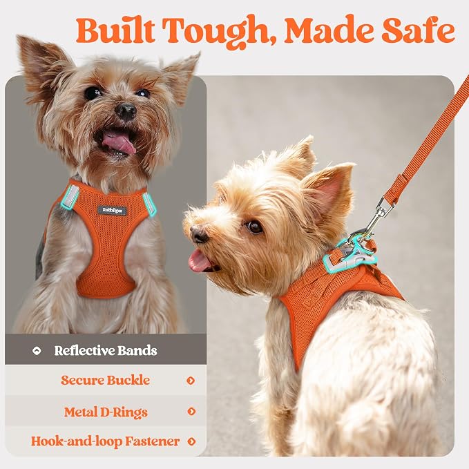 rabbitgoo Dog Harness Small Sized and Leash Set, Step-in Puppy Pet Vest | Light, Soft, Breathable Air Mesh, Easy on and Remove with Hook & Loop, Secure Reflective for Walking, Orange XXS - Image 7