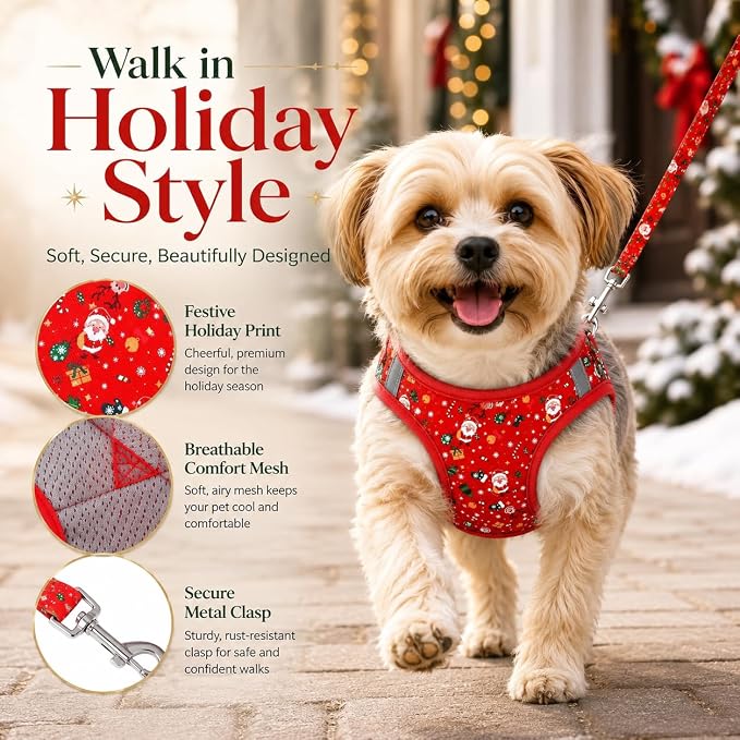 Step in Christmas Xmas Day Dog Harness Leash Set- All Weather Reflective No-Pull Floral Pattern Padded Mesh Vest Harness for Cats Puppy Extra-Small Small Medium Large Dogs - XS - Image 3