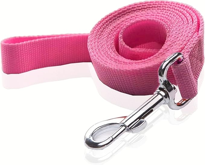 Nylon Dog Leash 4 Ft 5 Feet 6 Foot Long, Walking Training Dog Leashes for Medium Large Dogs, 1 Inch Wide (1" X 5 ft, Pink) by SALO