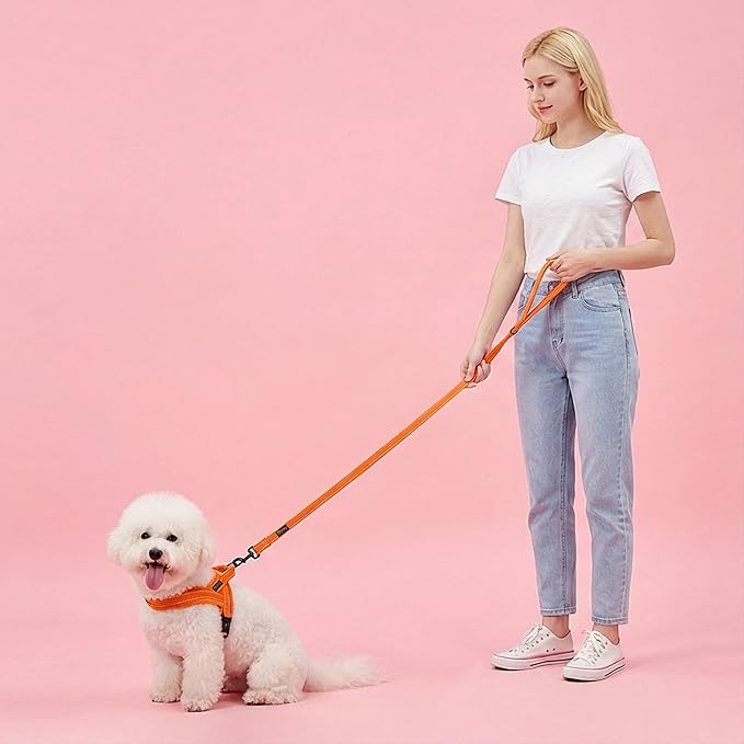 Didog 6FT Reflective Dog Leash for Small Medium Dogs,Slim 5/8" Width,Orange | Soft Padded Handle, Plush Comfort Grip, Tangle-Free, 360° Swivel Clasp for Daily Walking and Training, Night Safety - Image 3