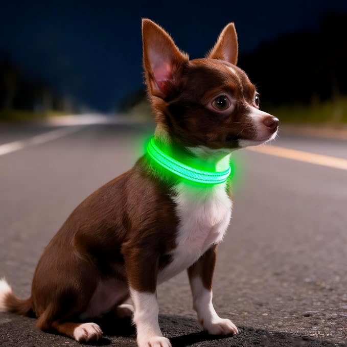 Light Up Dog Collar for Small Dogs - LED Dog Collar Rechargeable Adjustable Puppy Collars, Glow in The Dark Dog Lights for Night Walking（X-Small, Green） - Image 6