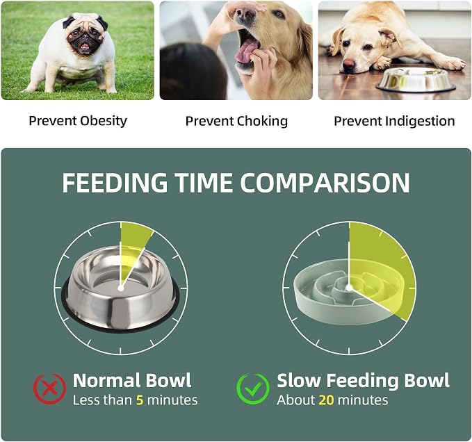 Havniva Elevated Slow Feeder Dog Bowls, Ceramic Dog Bowl Slow Feeder Set | 1.6 Cups Raised Slow Feeder Dog Bowl for Medium Breed, 7.3” Dog Water Bowl with Wooden Stand, Puzzle Dog Food Bowl, Non-slip - Image 5