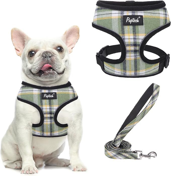 PUPTECK Small Dog Harness and Leash Set No Pull for XS XXS Sized Dogs Puppy | Escape Proof No Choke Pet Cat Adjustable Soft Padded Walking Vest by PUPTECK