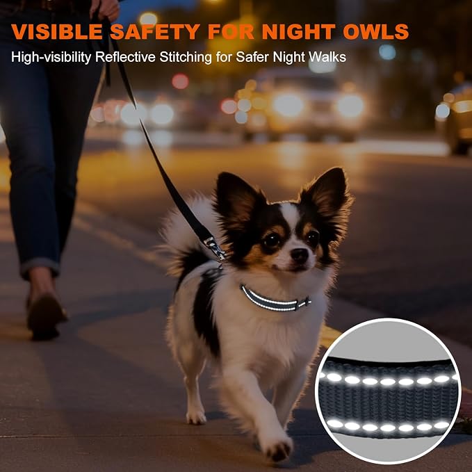 Taglory Reflective Dog Collar for Puppies, Gentle and Safe for Night Walks | Night-Walk Visibility, Soft Neck Cushioning, Adjustable 8-12 in, Locking Buckle, D-Ring for Leash and ID Tags - Image 5
