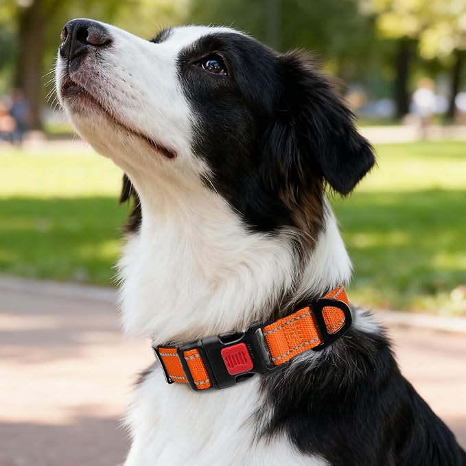 Taglory Reflective Dog Collar for Medium Dogs, Soft and Safe for Daily Walk | Soft Neck Cushioning, Adjustable 14-20 in, Sturdy Webbing Withstands Strong Pullers, Zinc Alloy D-Ring for Leash and ID Tags - Image 2