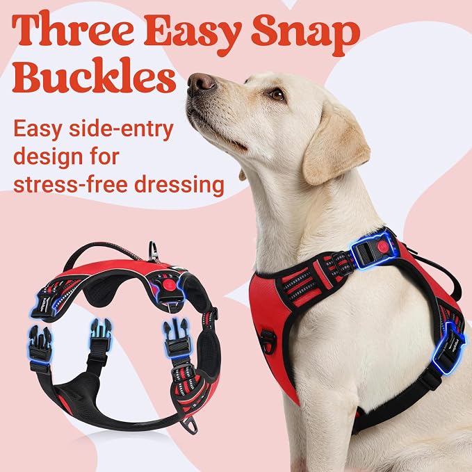rabbitgoo Large Dog Harness, Easy Wear with 3 Buckles and Lift Handle | No Pull with Front Clip for Walking, Adjustable Soft Padded, Reflective, Easy Control, Red, Large - Image 3