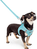 rabbitgoo Dog Harness Small Sized and Leash Set, Step-in Puppy Pet Vest | Light, Soft, Breathable Air Mesh, Easy on and Remove with Hook & Loop, Secure Reflective for Walking, Mint Blue XXXS by rabbitgoo