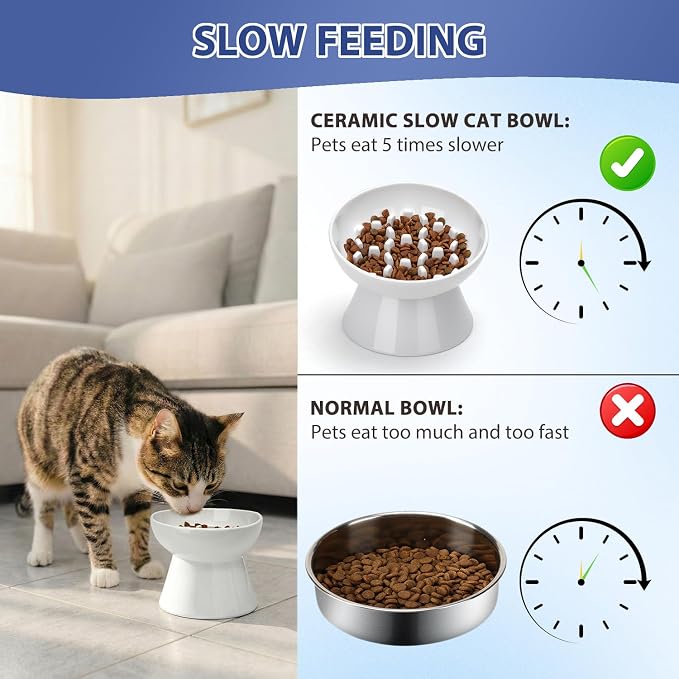 Ceramic Slow Feeder Cat Bowl, 2 Cups Tilted Elevated Honeycomb Food Dish | Premium Ceramic Material, Suitable For Dry And Wet Food, Honeycomb Structure Reduces Vomiting & Bloating For Cats - Image 5