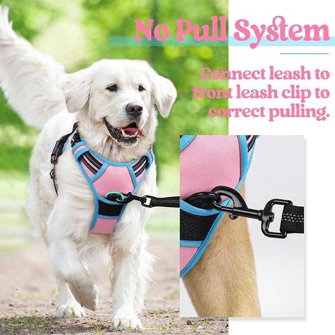rabbitgoo Dog Harness, No Pull for Large Dogs with 2 Leash Clips, Pet Vest | No Choke with Handle, Adjustable Soft Padded, Reflective, Easy Control for Walking, Pink & Blue, X-Large - Image 6