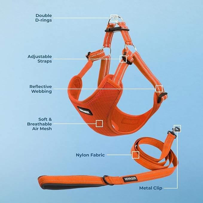 Best Pet Supplies Voyager Adjustable Step-in Flex Breathable Mesh Dog Harness for Small Medium Large Dogs Leash Set (Orange), S - Image 3