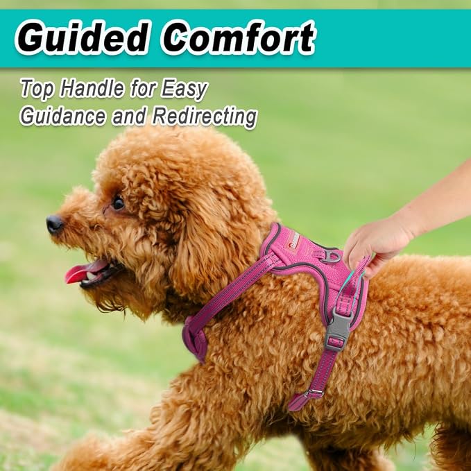 BARKBAY Dog Harness for Small Sized Dog No Pull Mesh 2 Clips Dog Vest | Control Handle,Comfort,Heavy Duty,Adjustable Reflective,Perfect for Outdoor Training, Walking,Hiking( XS,Pink Mesh) - Image 4