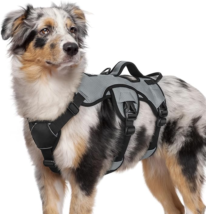 rabbitgoo Escape Proof Dog Harness for Medium, No Pull with Lift Handle | No Escape, Full Soft Padded, Reflective Adjustable Vest, Leash Clip for Walking Hiking Training, Grey, Medium by rabbitgoo