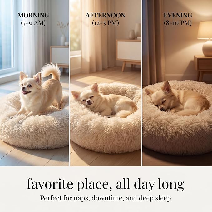 nononfish Puppy Bed for Small Dogs,Calming Donut Round Pet Bed | Comfortable plush bed for everyday indoor pet rest. - Image 6