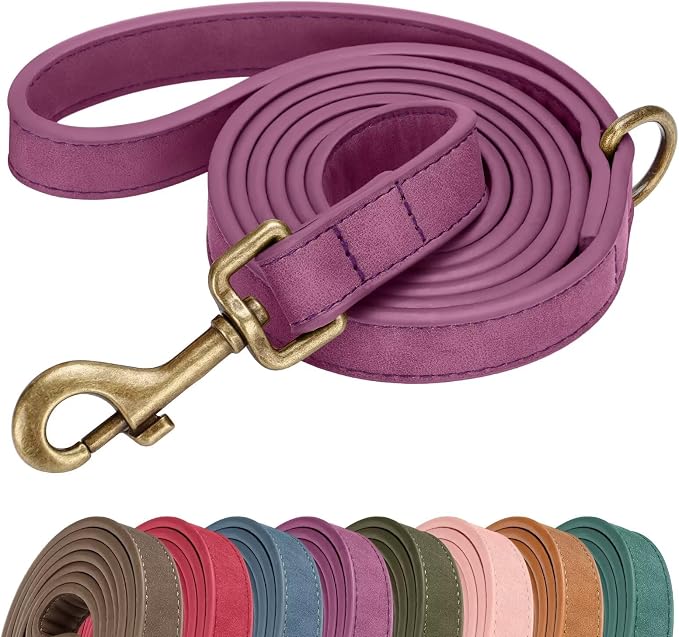 Didog PU Leather Dog Leash for Medium Large Dogs, 3/4in x 5ft, Purple | Soft Grip Full Control, Easy Clean, Metal D-ring for Poop Bag Holder, Tangle-Free 360° Swivel Clasp, for Walking & Training by Didog