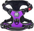 PoyPet No Pull Dog Harness Small with Front Clip & Neck Release Buckle | No Choke, Adjustable Vest, Reflective, Back Clip, Lockable, Soft Padded, Easy Control Handle for Walking Training, S, Purple by PoyPet