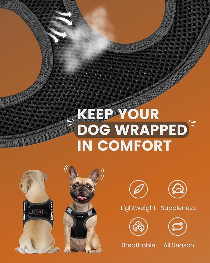 FAYOGOO Service Dog Vest for Small Breed - Lightweight Dog Harness with 6PCS Removable Patches - Puppy Harness and Leash Set for Walking,Training | Lightweight step-in vest with leash and removable identification patches; measure neck and chest before ... - Image 2