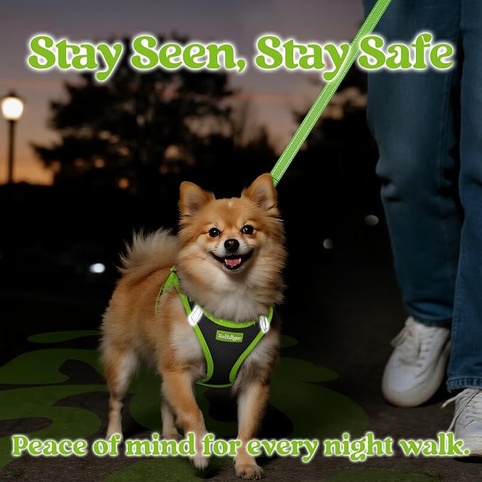rabbitgoo Dog Harness Small Sized and Leash Set, Step in Soft Vest | Breathable Mesh, Easy Wear with Hook & Loop, Light and Reflective for Walking, Multi-colored, Black & Green, M - Image 5
