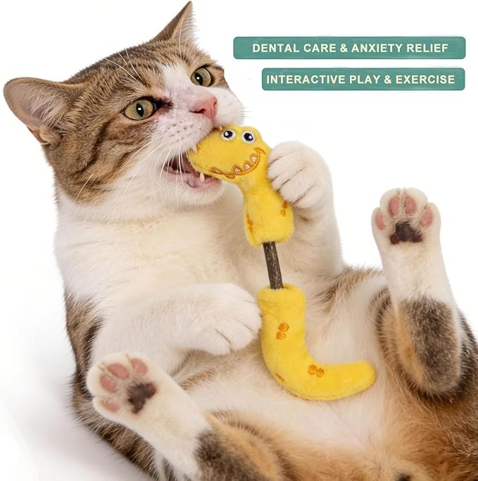 Interactive Cat Toys Set, Silvervine Chew Sticks and Catnip Spring Ropes, Indoor Cat Toys for Exercise and Dental Care, for All Cat Breeds (5 Packs) - Image 3