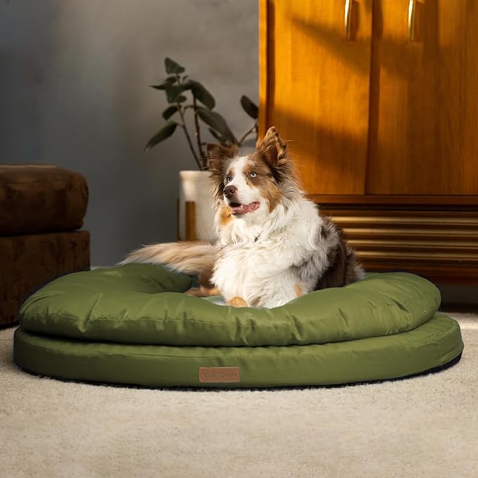 ClevaHome Orthopedic Dog Bed for Large Dogs, 42 inches Dual Layer Water Repellent Round Pet Bed with Washable Cover Nonslip Bottom (Olive Branch) by ClevaHome