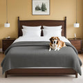 H.VERSAILTEX Plush Chenille Couch Cover for Dogs Pets Blanket for Bed Anti-Slip Soft and Durable Furniture Protector for Small Medium Large Cats Washable (52" x 82", Grey) by HVERSAILTEX