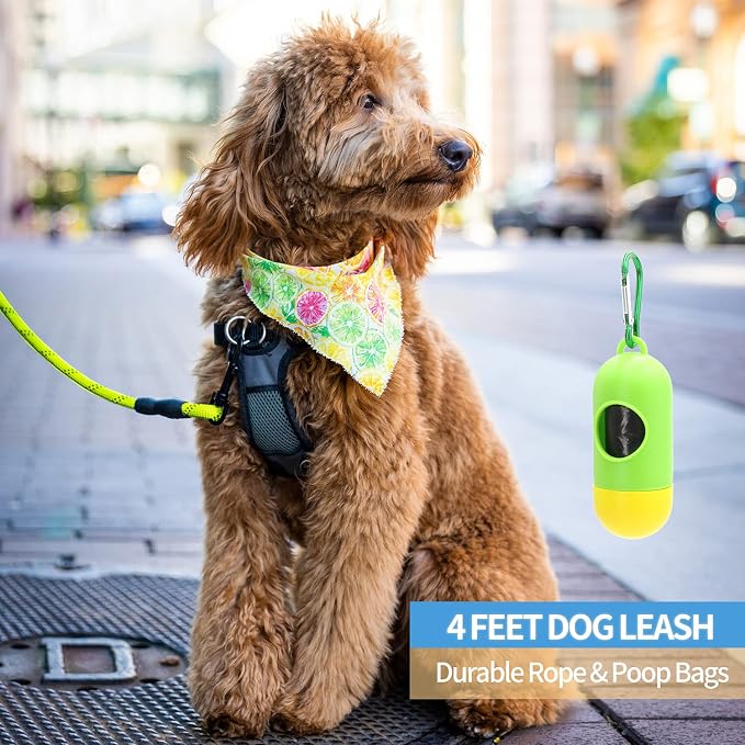 2/4/5/6 FT Dog Leash with Comfortable Padded Handle and Highly Reflective Threads for Small Medium and Large Dogs (4FT-1/2'', Green) - Image 5