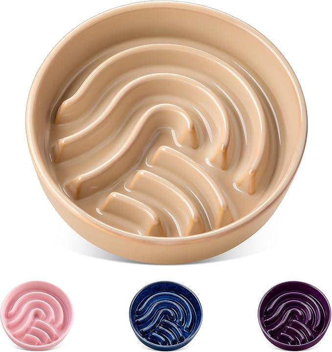 vancasso Slow Feeder Dog Bowl, 0.6 Cup Ceramic Slow Feeding Food Dish for Small Breed, Puzzle Dog Food Bowl for Fast Eater, Brown by vancasso