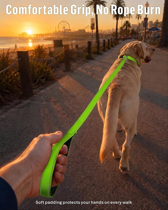 FunTags Reflective Nylon Dog Leash for Medium & Large Dogs, 6FT for Walks | Comfortable Padded Grip, Stay Safe at Night, 360° Anti-Tangle Swivel, for Dog Parks & Trails, Green - Image 2