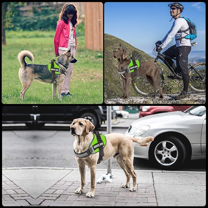 JSXD Dog Harness,No-Pull Service Dog Harness with Handle Adjustable Outdoor Pet Dog Vest 3M Reflective Nylon Material Vest for Breeds,Easy Control for Small Medium Large Dogs - Image 5