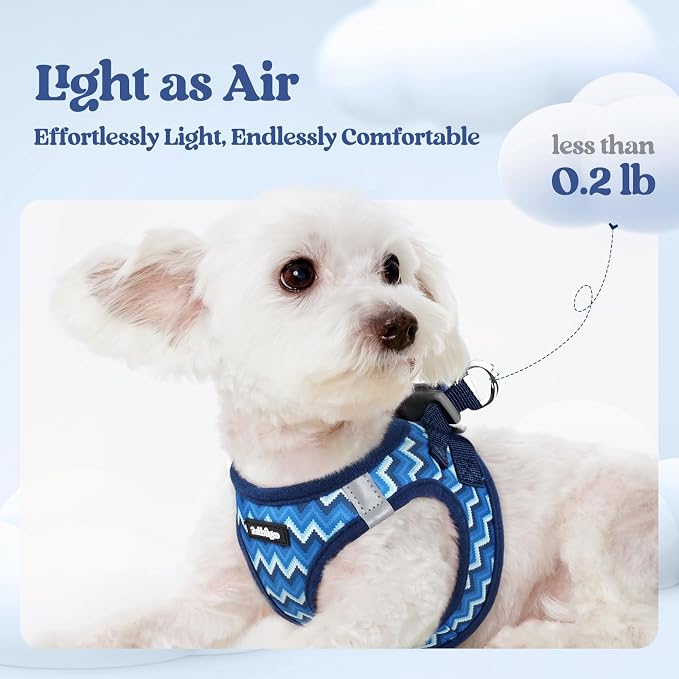 rabbitgoo Dog Harness Small Sized and Leash Set, Step-in Puppy Pet Vest | Light, Soft, Breathable Air Mesh, Easy on and Remove with Hook & Loop, Secure Reflective for Walking, Blue Zigzag XXS - Image 3