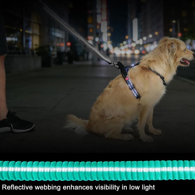 Dog Leash Heavy Duty, Bungee Leash Reflective Car Seat Belt for Dogs Green | 4-6FT Strong Shock Absorbing Tactical with 2 Padded Handles, Dog Tug Lead for Large Dogs Walking Running Training - Image 7