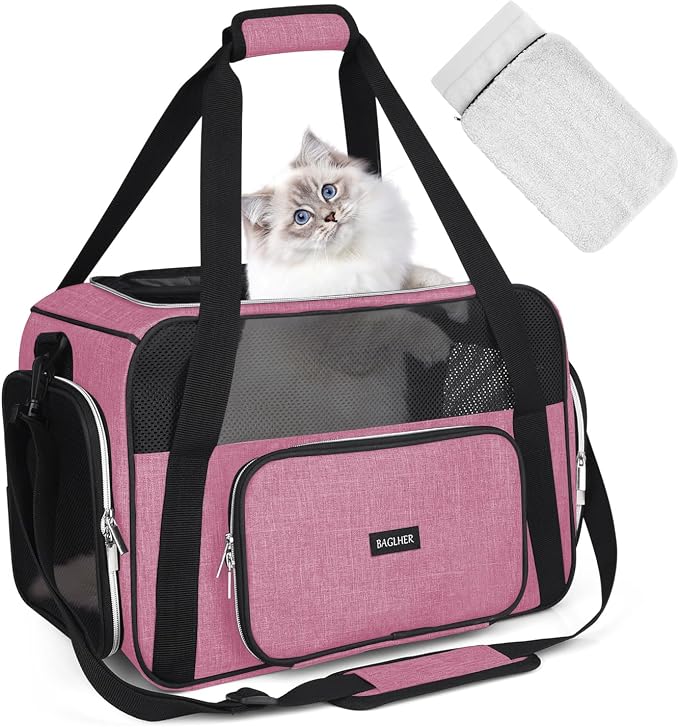 BAGLHER Pet Travel Carrier, Cat Carriers Dog Carrier for Small Medium Cats Dogs Puppies, Airline Approved Small Dog Carrier Soft Sided, Collapsible Puppy Carrier by BAGLHER