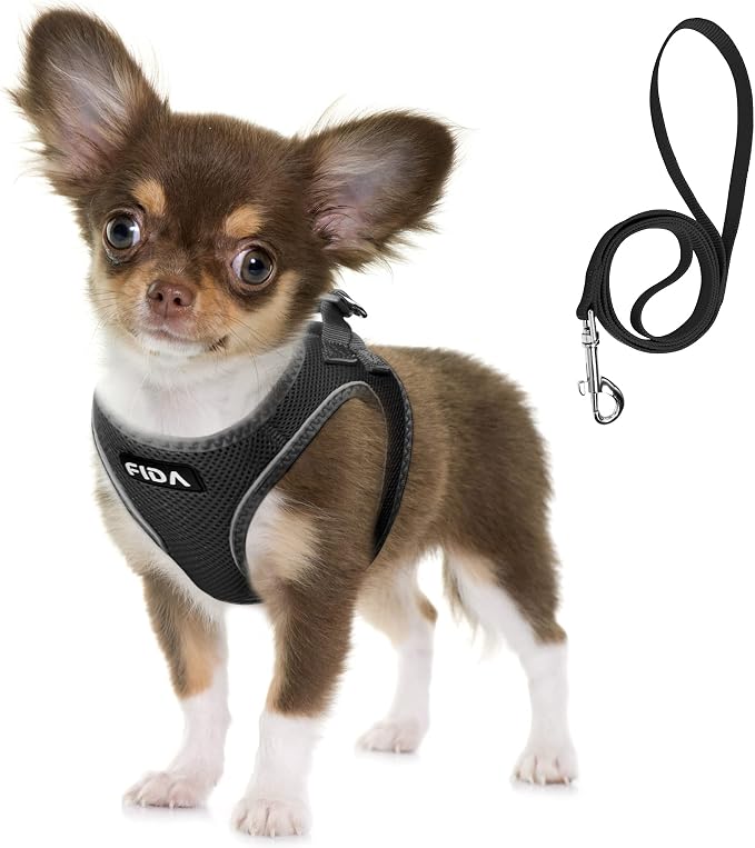 Fida Comfy Dog Harness with Leash, Soft Puppy Vest Escape Proof, Breathable Lightweight Soft Mesh, Adjustable Reflective Step-in Harness for Cat & Extra-Small Pet (XS, Black) by Fida