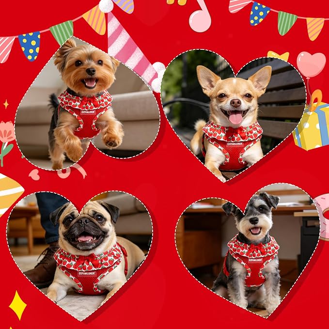 EXPAWLORER Step-in Dog Harness Small Sized and Leash Set | Cute Small Dog Harness No Pull Girl, Breathable Soft Mesh Padded, Adjustable Light Puppy Vest for Dogs Cats, Strawberry M - Image 6