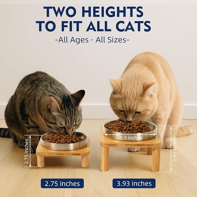 DoogCat Raised Cat Bowl, Elevated Cat Bowls with Bamboo Stand, Set of 2 | Premium Stainless Steel Bowls, Adjustable Height, Whisker-Friendly Design, Elevated Feeding, Easy to Clean - Image 3
